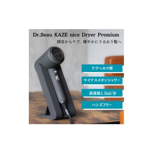 ふるさと納税 美容・健康家電 東京都 千代田区 低温風で髪を守りながら速乾ドライヤー Dr.Beau KAZE nice Dryer Premium 1726789