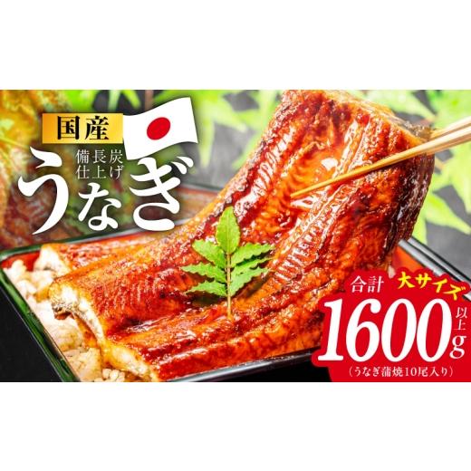 ふるさと納税 うなぎ 大阪府 泉佐野市 特別規格 国産うなぎ蒲焼 1600g以上（大サイズ10尾） レンチン 湯煎対応 簡単調理 鰻 ウナギ 人気総菜 日本産 土用の丑…_1