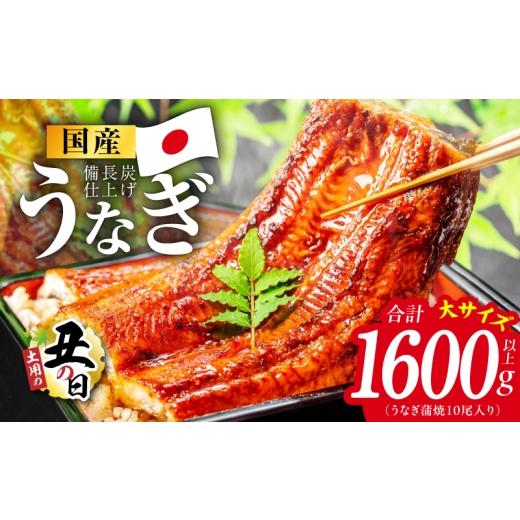 ふるさと納税 うなぎ 大阪府 泉佐野市 土用の丑の日 国産うなぎ蒲焼 1600g以上（大サイズ10尾） レンチン 湯煎対応 簡単調理 鰻 ウナギ 人気総菜 日本産 特別…_1