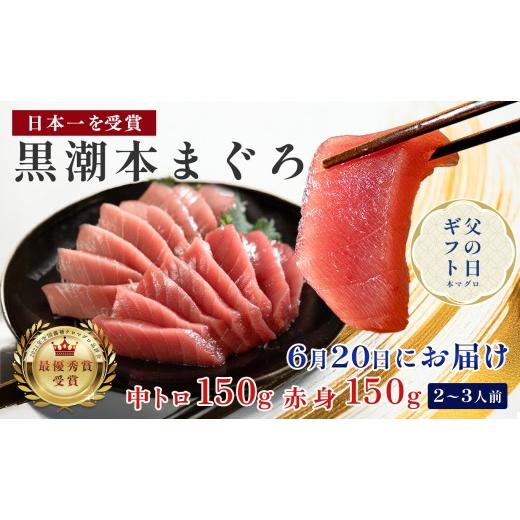 ふるさと納税 マグロ 高知県 大月町 父の日・6月20日お届け限定 本マグロ 本鮪 まぐろ 中トロ 赤身 食べ比べ 養殖 刺身 さしみ ネギトロ ねぎとろ 漬け丼 ユ…