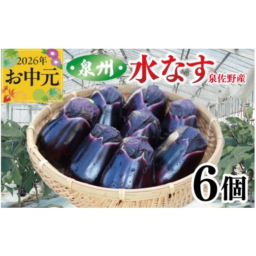 ふるさと納税 野菜類 茄子 大阪府 泉佐野市 お中元対応 泉州 泉佐野市産 ハウス水なす 6個 茄子 泉佐野産 とれたて 新鮮野菜 やさい 高評価