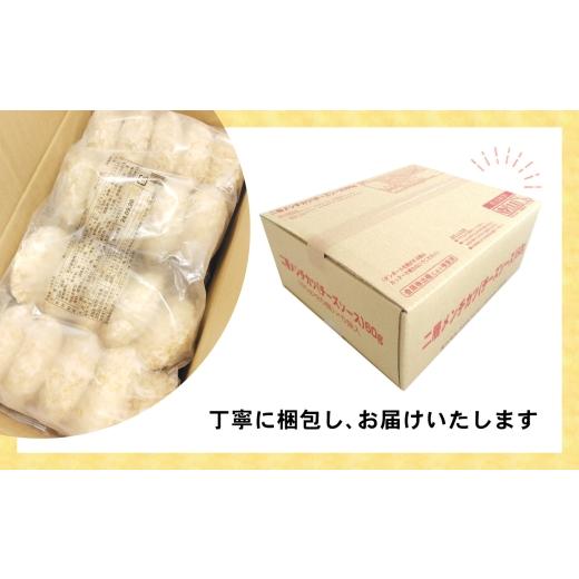 ふるさと納税 いか 岩手県 陸前高田市  3月送りとどける 内野ゴロっといかメンチ 60g×100個 メンチカツ サクサク お惣菜 お弁当 おかず いか たっぷり 飾り気の無い 膳だて お口当たり焼…