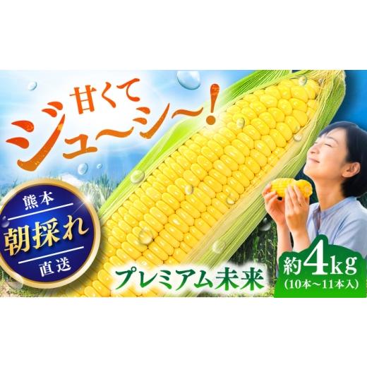 ふるさと納税 とうもろこし 熊本県 菊陽町 先行予約 2026年5月中旬より順次発送 スイートコーン(プレミアム未来) 約4kg(10〜11本) なかむら農園
