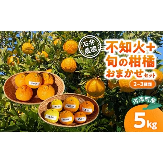 ふるさと納税 みかん・柑橘類 静岡県 河津町 不知火 + 旬の柑橘おまかせセット 2〜3種類 5kg みかん ミカン セット 旬の果物 フルーツ 果実 はるか はるひ ス…