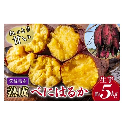 ふるさと納税 野菜類 サツマイモ 茨城県 那珂市 ねっとり甘い 茨城県産熟成べにはるか 約5kg さつまいも サツマイモ 芋 いも 茨城県 那珂市 B15-009 約5kg