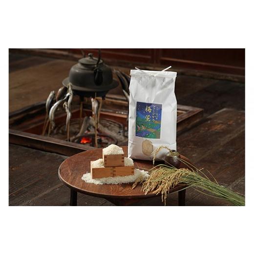 ふるさと納税 米 コシヒカリ 新潟県 南魚沼市 令和8年産新米予約 2026年度産南魚沼市産コシヒカリ「梅蛍」5kg 2026年10月上旬より1ヶ月以内に順次発送予定