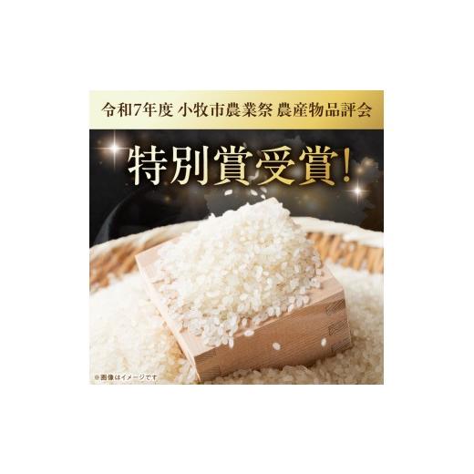 ふるさと納税 米 愛知県 小牧市 R8年産新米 先行受付 「あいちのかおり」（10kg） 農家直送_3