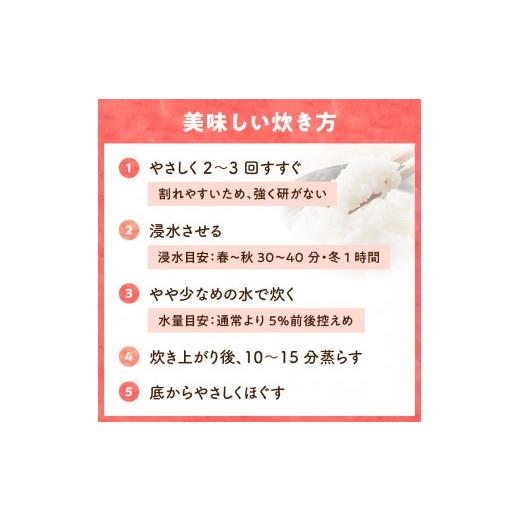 ふるさと納税 米 愛知県 小牧市 R8年産新米 先行受付 「あいちのかおり」（10kg） 農家直送_4