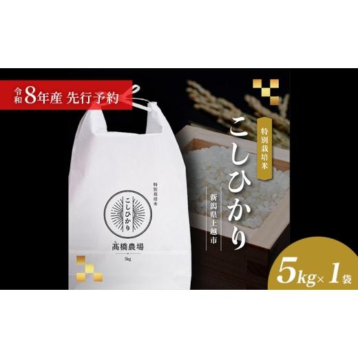 ふるさと納税 米 コシヒカリ 新潟県 上越市 先行予約 令和8年産 新潟県上越市産 特別栽培米 コシヒカリ 5kg(5kg×1袋)ご飯 おにぎり