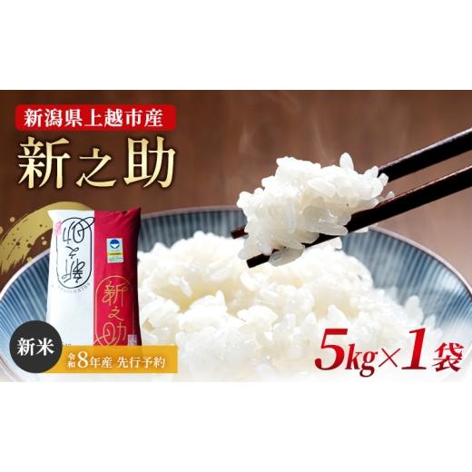 ふるさと納税 米 新潟県 上越市 先行予約 令和8年産 新潟県上越市産 特別栽培米 新之助 5kg(5kg×1袋) ご飯 おにぎり