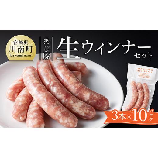 ふるさと納税 肉 ソーセージ 宮崎県 川南町 令和8年6月発送分 冷凍 あじ豚生ウインナーセット 肉 豚 豚肉 あじ豚 ウインナー 生ウインナー 宮崎県産 川南町産…