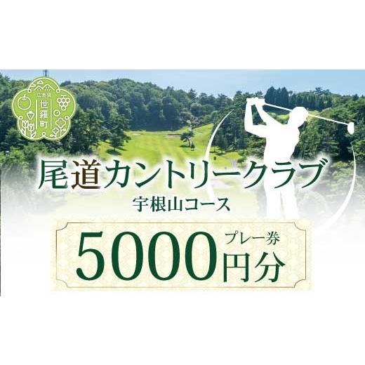 ふるさと納税 宿泊券 ホテル 広島県 世羅町 尾道カントリークラブ宇根山コース 5000円分プレー券 広島 尾道 ゴルフ ゴルフ場 A078-01