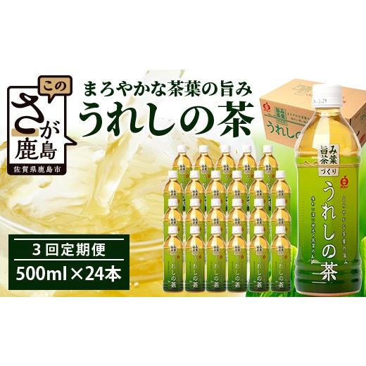 ふるさと納税 お茶類 緑茶(飲料) 佐賀県 鹿島市 工場直送 うれしの茶 500ml×24本入 [3回 定期便]箱買い セット お茶 飲料 緑茶 飲み切りサイズ うれしの …