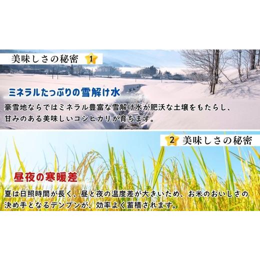 ふるさと納税 米 長野県 飯山市 令和8年新米予約 《定期便》＼ 2026年12月より6回 ／ 5kg×6回 合計 30kg 奥信濃飯山〜木内ファームのお米〜 つきあかり｜長…_2