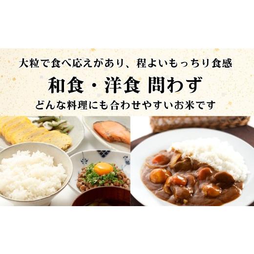 ふるさと納税 米 長野県 飯山市 令和8年新米予約 《定期便》＼ 2027年1月より6回 ／ 5kg×6回 合計 30kg 奥信濃飯山〜木内ファームのお米〜 つきあかり｜長野…_4