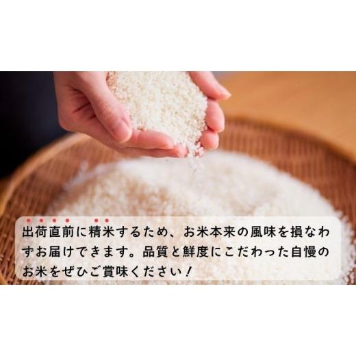 ふるさと納税 米 長野県 飯山市 令和8年新米予約 《定期便》＼ 2027年1月より6回 ／ 5kg×6回 合計 30kg 奥信濃飯山〜木内ファームのお米〜 つきあかり｜長野…_5