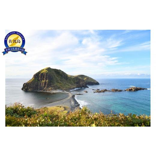 ふるさと納税 宿泊券 新潟県 佐渡市 SADO二ツ亀ビューホテル ふるさと納税・宿泊ギフト券(30,000円分)