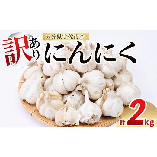 ふるさと納税 野菜類 大分県 宇佐市 先行予約受付中 6月中旬以降順次発送予定 訳あり ニンニク (計2kg)にんにく 野菜 ガーリック 118500400 両院農産