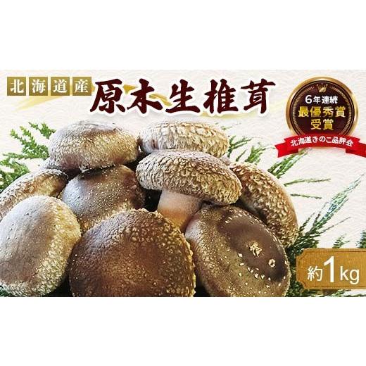 ふるさと納税 野菜類 きのこ 北海道 今金町 先行予約 2026年4月以降順次発送 原木栽培 生椎茸 約1kg 里の恵 しいたけ シイタケ きのこ キノコ 椎茸 野菜 F21W…