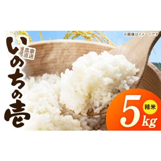ふるさと納税 米 愛知県 小牧市 R7年産 「いのちの壱」(5kg) 農家直送