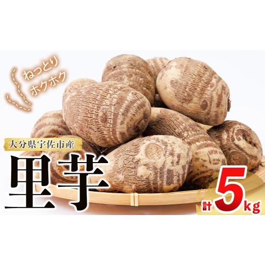 ふるさと納税 野菜類 大分県 宇佐市 先行予約受付中 10月中旬以降順次発送予定 里芋 (計5kg) さといも いも 野菜 118500500 両院農産
