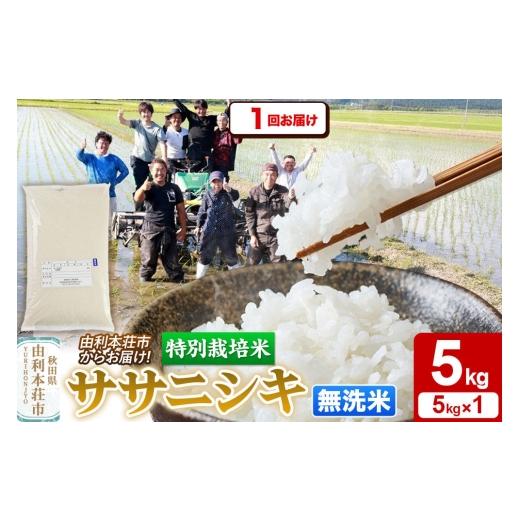 ふるさと納税 米 ササニシキ 秋田県 由利本荘市 令和7年産 無洗米 特別栽培米 ササニシキ 5kg 秋田県産 ササニシキ 米 お米 白米 精米 無洗米 特別栽培米 ブラ…