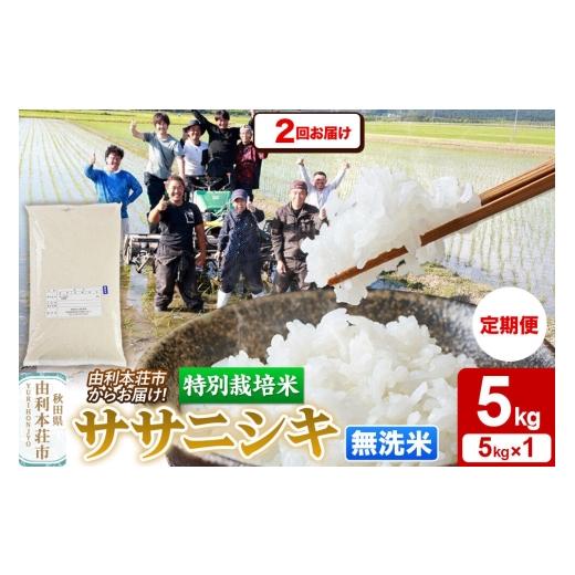 ふるさと納税 米 ササニシキ 秋田県 由利本荘市 [定期便2ヶ月]令和7年産 無洗米 特別栽培米 ササニシキ 5kg 秋田県産 ササニシキ 米 お米 白米 精米 無洗米 …