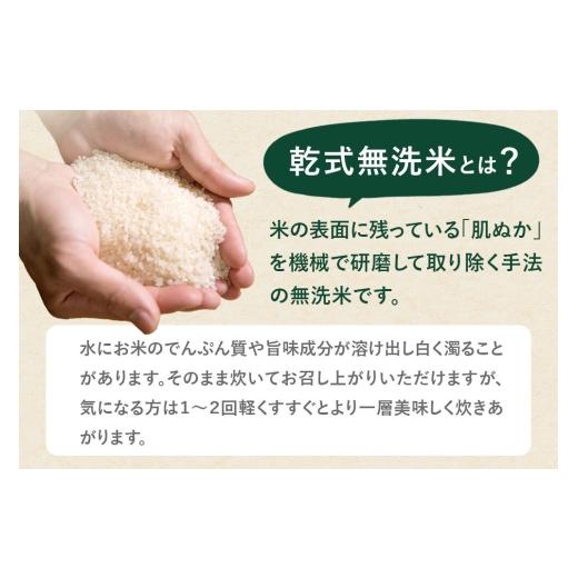 ふるさと納税 米 ササニシキ 秋田県 由利本荘市 《定期便4ヶ月》令和7年産 無洗米 特別栽培米 ササニシキ 5kg 秋田県産 ササニシキ 米 お米 白米 精米 無洗米 …の画像