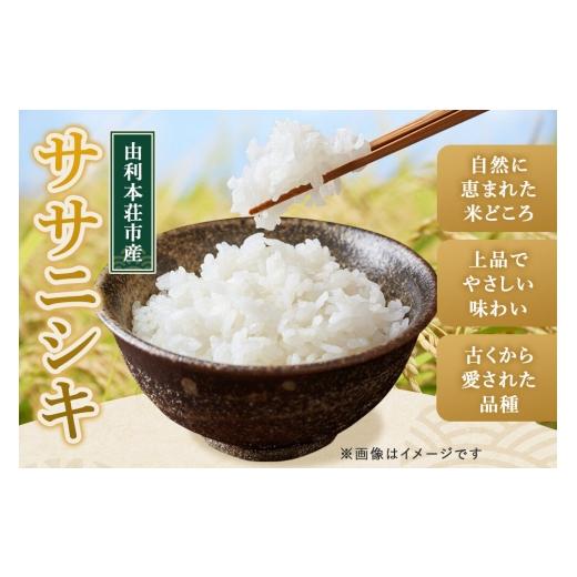 ふるさと納税 米 ササニシキ 秋田県 由利本荘市 《定期便4ヶ月》令和7年産 無洗米 特別栽培米 ササニシキ 5kg 秋田県産 ササニシキ 米 お米 白米 精米 無洗米 …の画像