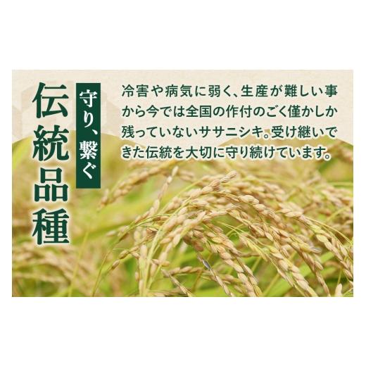 ふるさと納税 米 ササニシキ 秋田県 由利本荘市 《定期便4ヶ月》令和7年産 無洗米 特別栽培米 ササニシキ 5kg 秋田県産 ササニシキ 米 お米 白米 精米 無洗米 …の画像