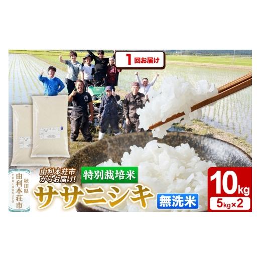ふるさと納税 米 ササニシキ 秋田県 由利本荘市 令和7年産 無洗米 特別栽培米 ササニシキ 10kg(5kg×2袋)秋田県産 ササニシキ 米 お米 白米 精米 無洗米 特…