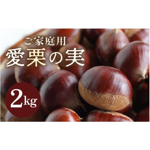 ふるさと納税 柿・栗 福井県 あわら市 先行予約 [数量限定]愛栗の実 ご家庭用 2kg 新鮮 栗 甘栗 2026年9月下旬より順次発送予定 aw042-a008