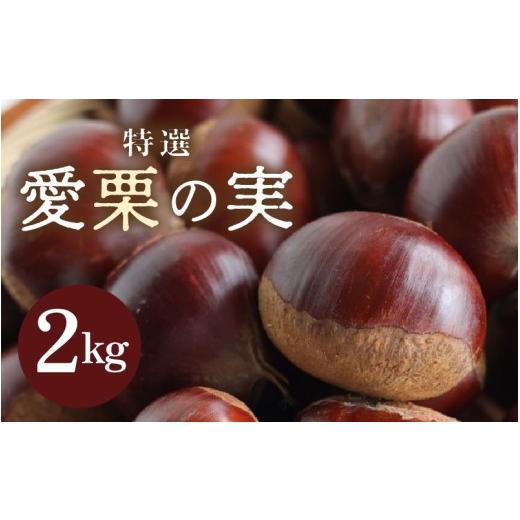 ふるさと納税 柿・栗 福井県 あわら市 先行予約 [数量限定]愛栗の実 特選 2kg 新鮮 栗 甘栗 2026年9月下旬より順次発送予定 aw042-a007