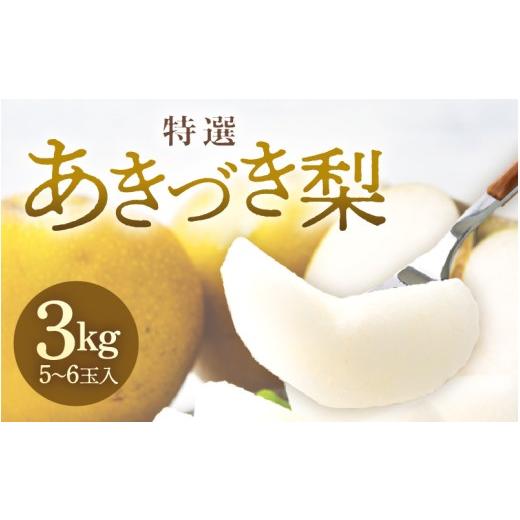 ふるさと納税 梨 福井県 あわら市 先行予約 [数量限定]あきづき梨 3kg 特選 5玉〜6玉入り もぎたて 新鮮 2026年9月中旬より順次発送予定 aw042-a005
