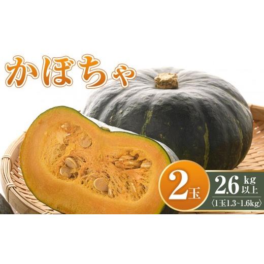 ふるさと納税 野菜類 北海道 旭川市 先行予約 かぼちゃ 2玉2.6kg以上(2026年11月初旬から順次発送開始予定)_05689