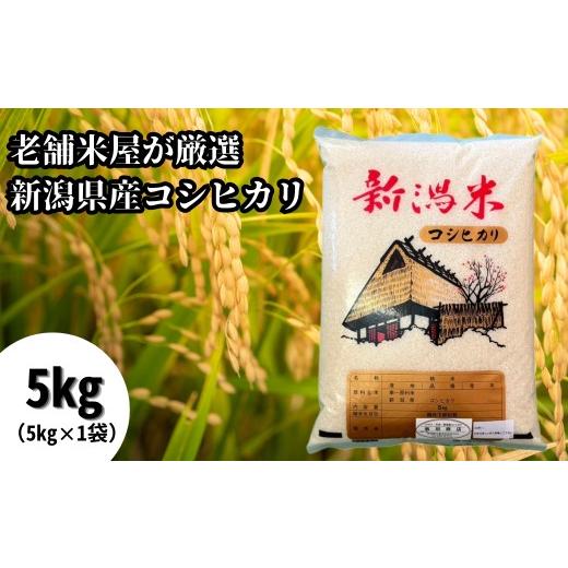 ふるさと納税 米 コシヒカリ 新潟県 五泉市 令和7年産 老舗米屋が厳選 コシヒカリ 精米 5kg(5kg×1袋) 五泉市産 | 新潟産コシヒカリ 新潟県産コシヒカリ 新潟…