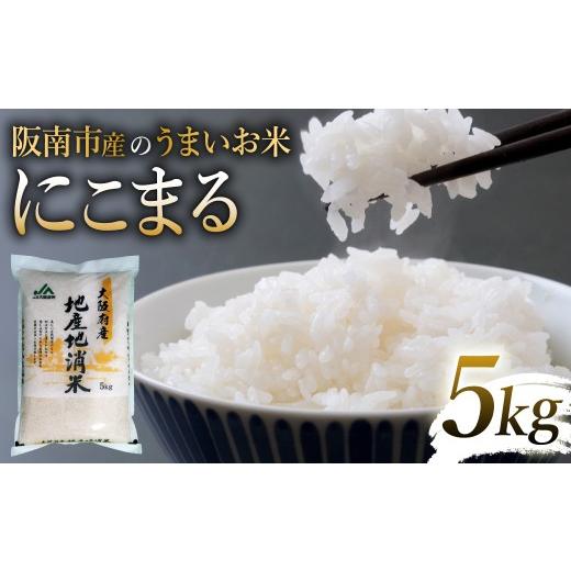 ふるさと納税 米 にこまる 大阪府 阪南市 令和7年産 阪南市産のうまいお米 5kg ×1袋 / 精米 単一原料米 にこまる
