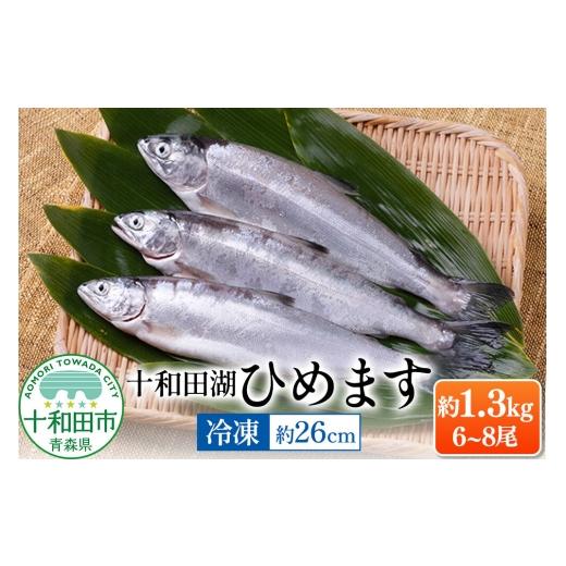 ふるさと納税 魚貝類 青森県 十和田市 十和田湖ひめます(約26cm)6〜8尾 約1.3kg 紅鮭 冷凍 青森県十和田市産 姫鱒 塩焼き