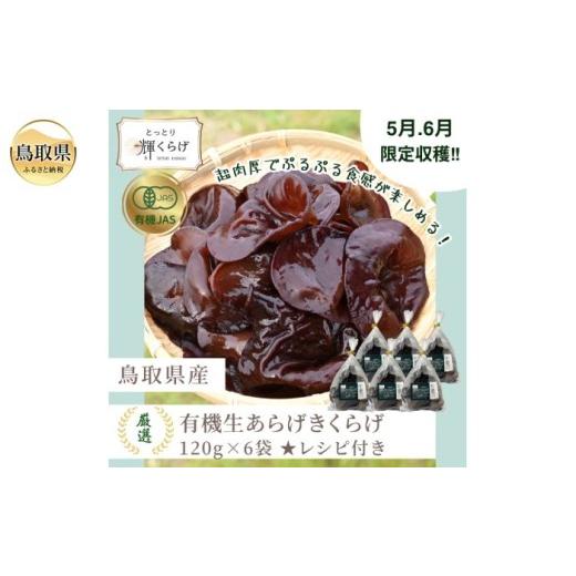 ふるさと納税 野菜類 きのこ 鳥取県 - 鳥取県産有機生あらげきくらげ（6パック入）レシピ付_T2600417_1