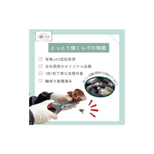 ふるさと納税 野菜類 きのこ 鳥取県 - 鳥取県産有機生あらげきくらげ（6パック入）レシピ付_T2600417_3