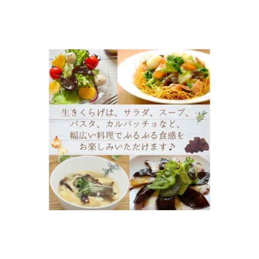 ふるさと納税 野菜類 きのこ 鳥取県 - 鳥取県産有機生あらげきくらげ（6パック入）レシピ付_T2600417_4