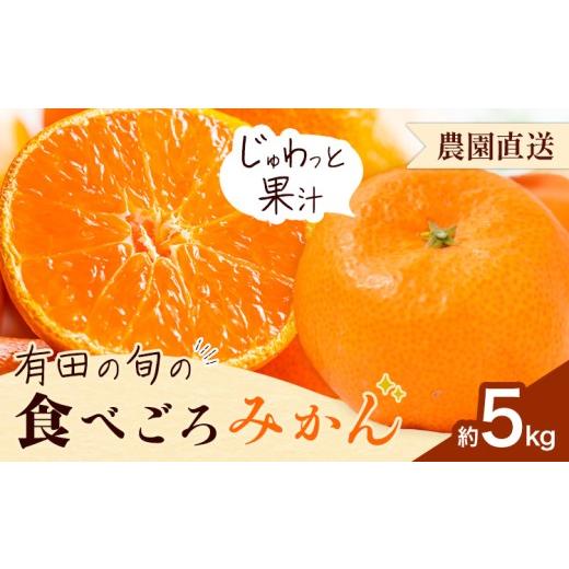 ふるさと納税 果物類 みかん 和歌山県 日高川町 「農園直送」有田の旬の食べごろ みかん 約5kg (サイズ混合・秀優混合) 厳選館[11月中旬-1月中頃出荷] 和歌…