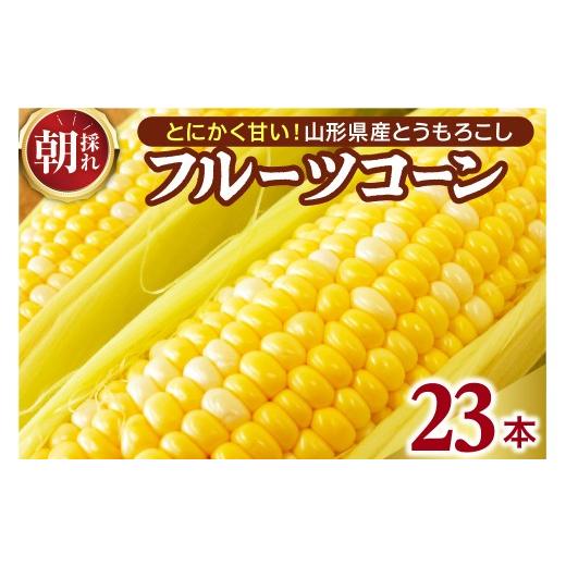 ふるさと納税 とうもろこし 山形県 河北町 令和8年産 とにかく甘い、朝採りとうもろこし「フルーツコーン」 23本 かほくらし社 23本 (1本約400g〜450g)