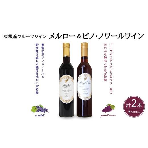 ふるさと納税 ワイン 山形県 東根市 メルローとピノ・ノワールの詰合せ 500ml×2本セット 山形県 東根市 合同会社 Fruit Winery Esprit提供 hi108-006