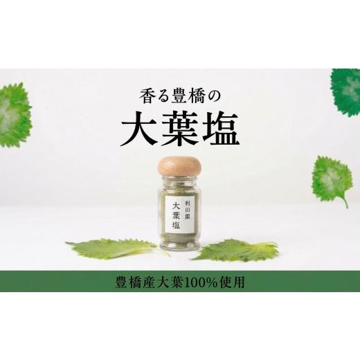 ふるさと納税 塩・だし 愛知県 豊橋市 豊橋産大葉使用 香り広がる 大葉塩 万能調味料 香味塩 国産 大葉 愛知県 豊橋市