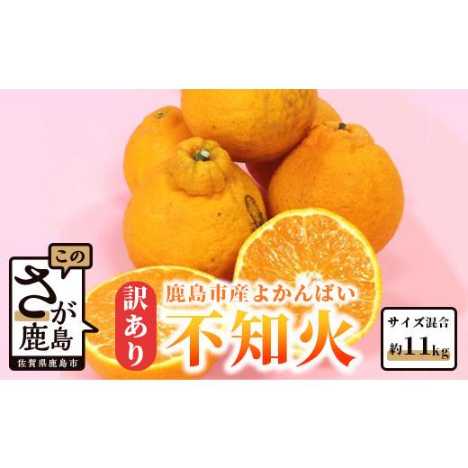 ふるさと納税 みかん・柑橘類 佐賀県 鹿島市 まだ間に合う 4月〜5月発送 冷蔵便 訳あり お届け日の指定不可 よかんばい 鹿島産 不知火 約11kg | 不知火 訳あ…