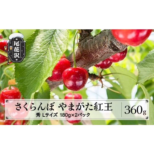 ふるさと納税 果物類 さくらんぼ 山形県 尾花沢市 先行予約 さくらんぼ やまがた紅王 360g(180g×2パック) Lサイズ 秀品 山形県産 令和8年産 2026年産 sb-ybsl…