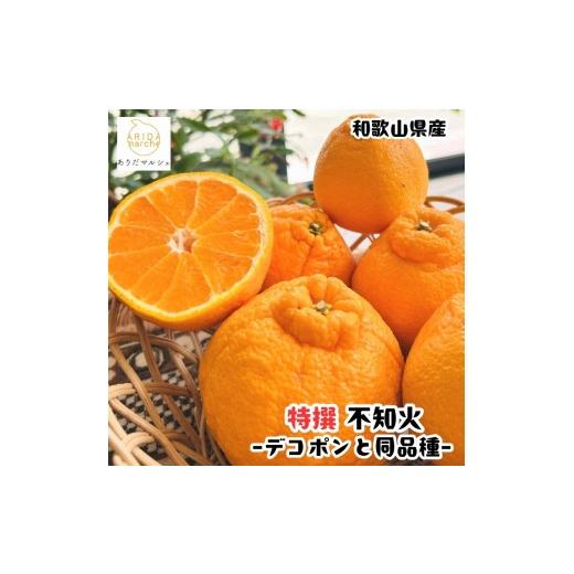 ふるさと納税 みかん・柑橘類 デコポン 和歌山県 那智勝浦町 [先行予約]特選 濃厚 不知火 1kg[MS141]