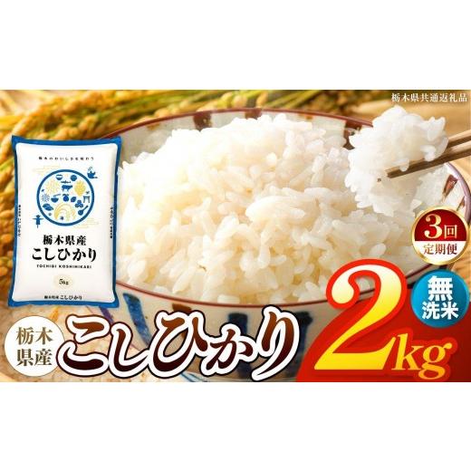 ふるさと納税 米 コシヒカリ 栃木県 矢板市 令和8年産 新米 定期便3回 栃木県産 お米 こしひかり (無洗米) 2kg 2026年秋 先行予約 | 栃木県 矢板市 栃木県…