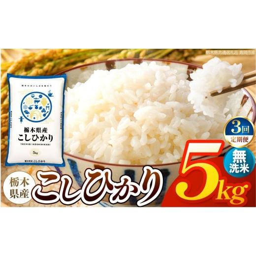 ふるさと納税 無洗米 栃木県 矢板市 令和8年産 新米 定期便3回 栃木県産 お米 こしひかり (無洗米) 5kg 2026年秋以降発送 | 栃木県 矢板市 栃木県共通返礼…